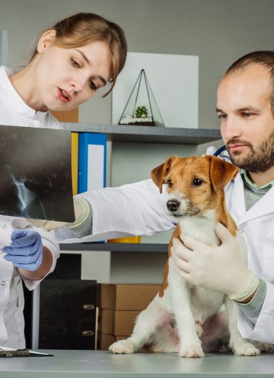 shutterstock_534096346_smaller
